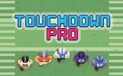 Touchdown Pro